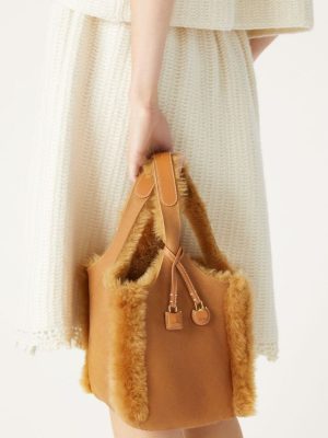 Goyard hobo - limited color